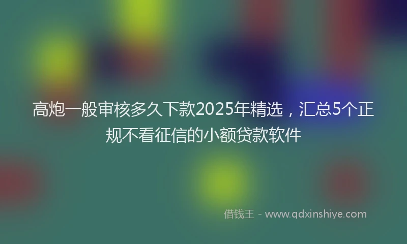 高炮一般审核多久下款2025年精选，汇总5个正规不看征信的小额贷款软件
