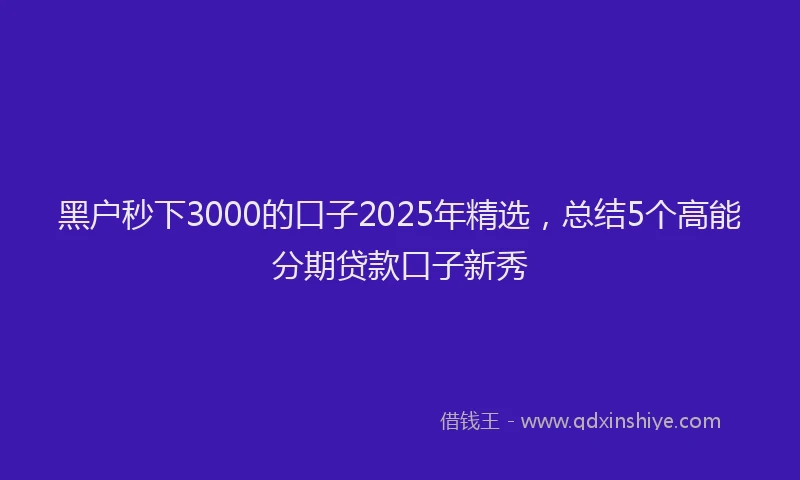 黑户秒下3000的口子2025年精选，总结5个高能分期贷款口子新秀