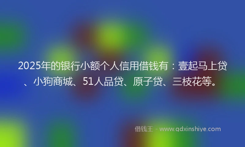 2025年的银行小额个人信用借钱有：壹起马上贷、小狗商城、51人品贷、原子贷、三枝花等。