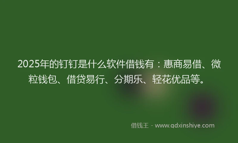 2025年的钉钉是什么软件借钱有：惠商易借、微粒钱包、借贷易行、分期乐、轻花优品等。