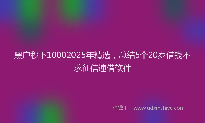 黑户秒下10002025年精选，总结5个20岁借钱不求征信速借软件