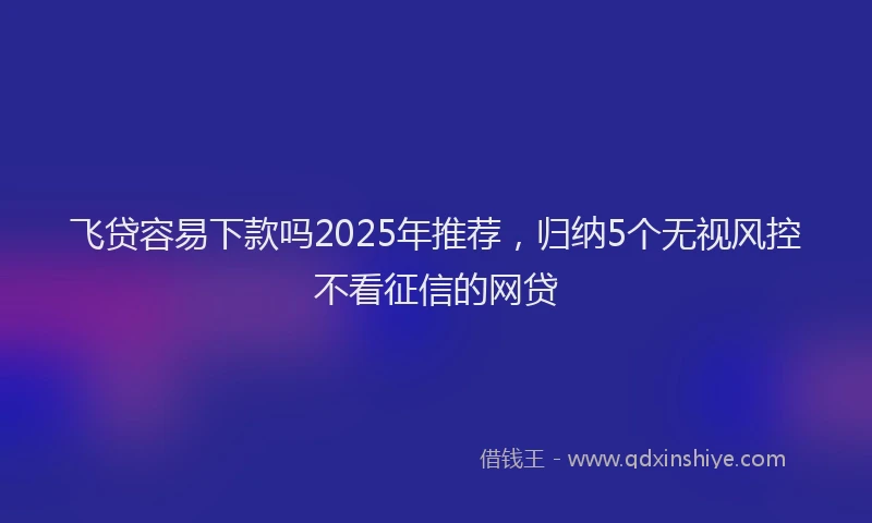 飞贷容易下款吗2025年推荐，归纳5个无视风控不看征信的网贷
