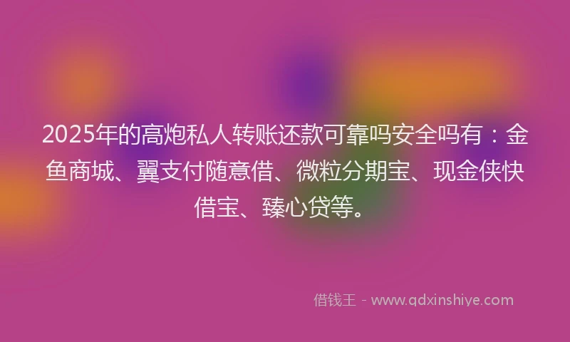 2025年的高炮私人转账还款可靠吗安全吗有：金鱼商城、翼支付随意借、微粒分期宝、现金侠快借宝、臻心贷等。