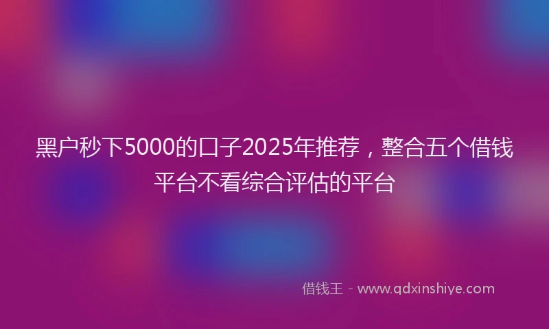 黑户秒下5000的口子2025年推荐，整合五个借钱平台不看综合评估的平台