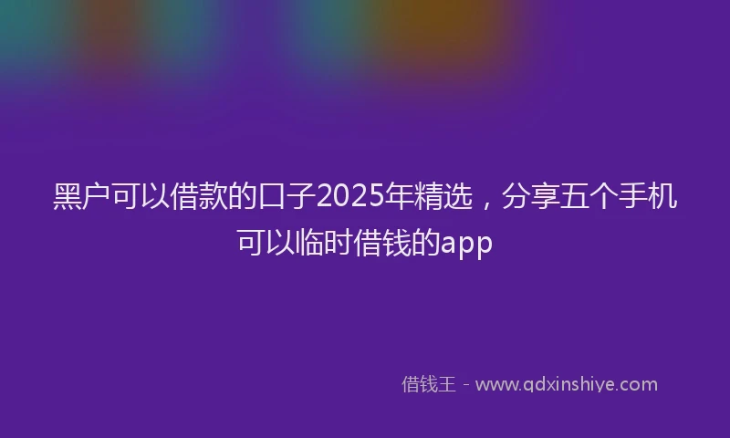 黑户可以借款的口子2025年精选，分享五个手机可以临时借钱的app