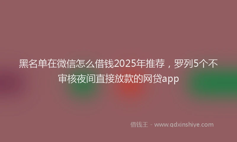 黑名单在微信怎么借钱2025年推荐，罗列5个不审核夜间直接放款的网贷app
