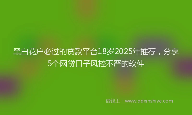 黑白花户必过的贷款平台18岁2025年推荐，分享5个网贷口子风控不严的软件