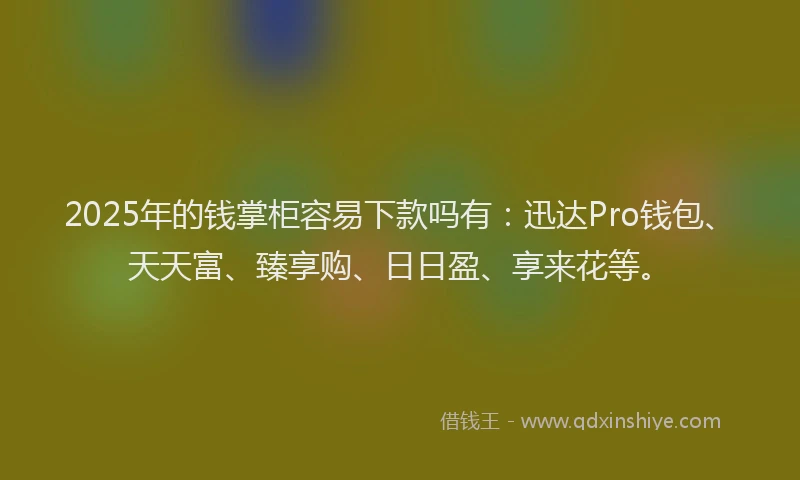 2025年的钱掌柜容易下款吗有：迅达Pro钱包、天天富、臻享购、日日盈、享来花等。