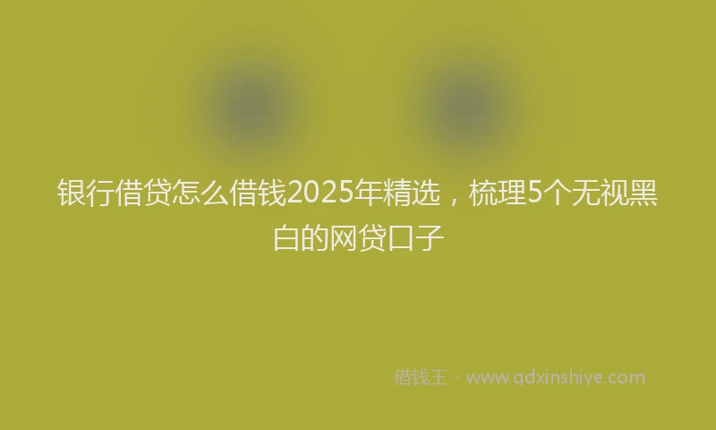 银行借贷怎么借钱2025年精选，梳理5个无视黑白的网贷口子