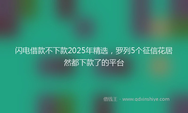 闪电借款不下款2025年精选，罗列5个征信花居然都下款了的平台