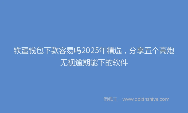 铁蛋钱包下款容易吗2025年精选，分享五个高炮无视逾期能下的软件