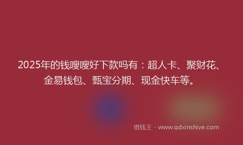 2025年的钱嗖嗖好下款吗有：超人卡、聚财花、金易钱包、甄宝分期、现金快车等。