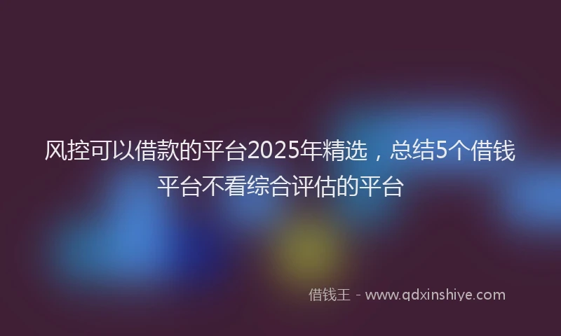 风控可以借款的平台2025年精选，总结5个借钱平台不看综合评估的平台