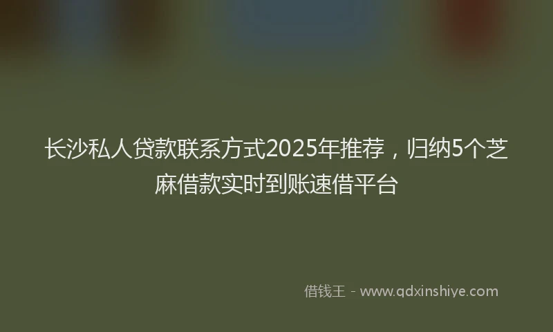 长沙私人贷款联系方式2025年推荐，归纳5个芝麻借款实时到账速借平台