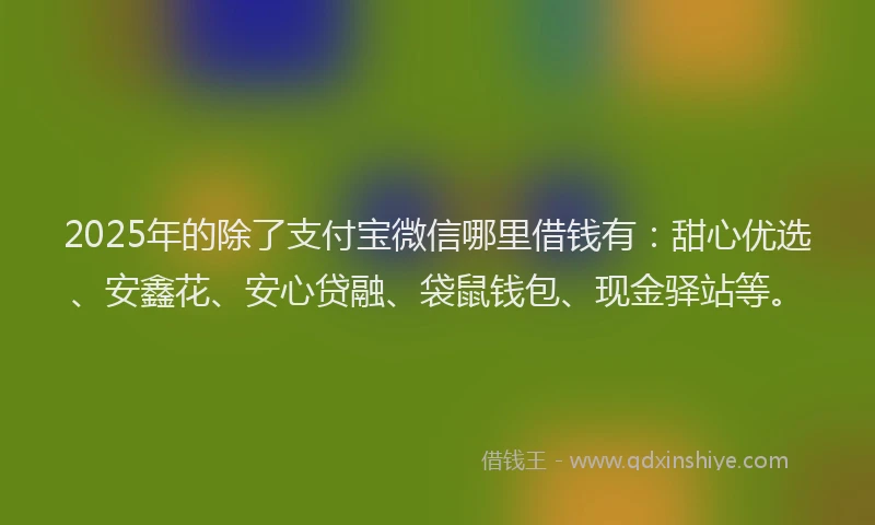 2025年的除了支付宝微信哪里借钱有：甜心优选、安鑫花、安心贷融、袋鼠钱包、现金驿站等。