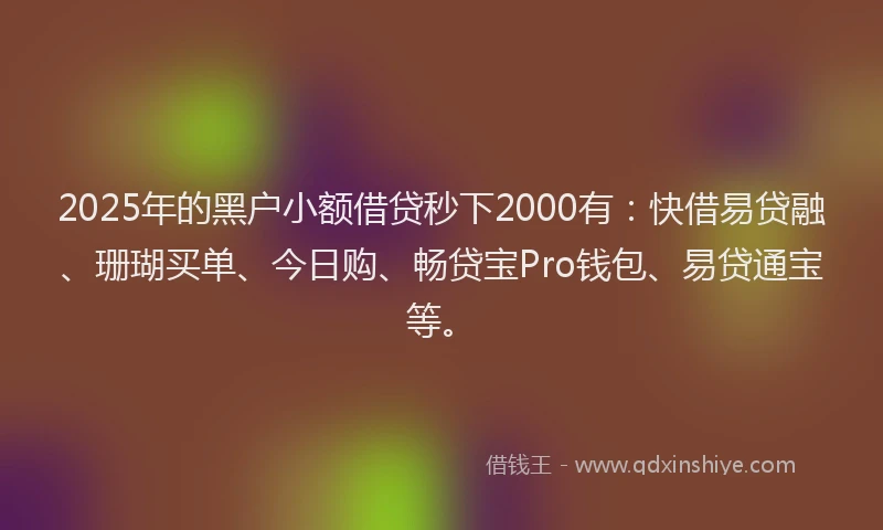 2025年的黑户小额借贷秒下2000有：快借易贷融、珊瑚买单、今日购、畅贷宝Pro钱包、易贷通宝等。