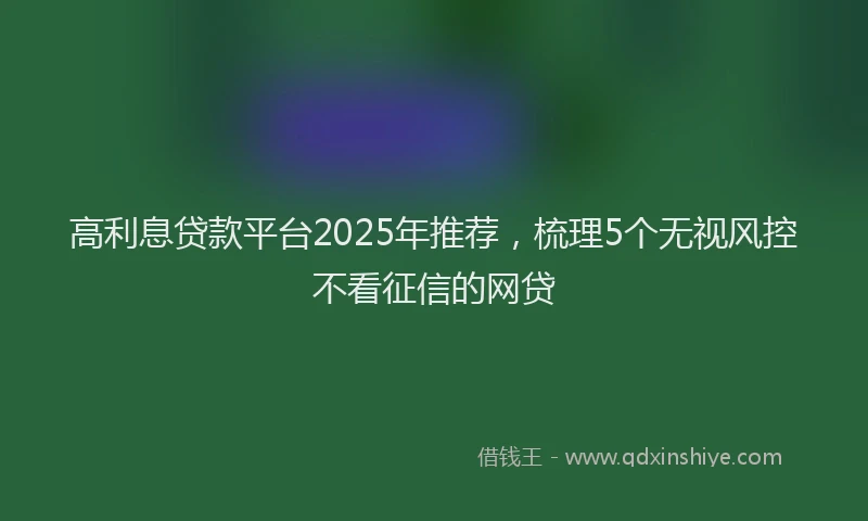 高利息贷款平台2025年推荐，梳理5个无视风控不看征信的网贷