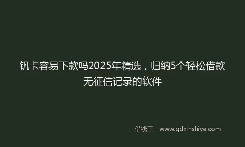 钒卡容易下款吗2025年精选，归纳5个轻松借款无征信记录的软件