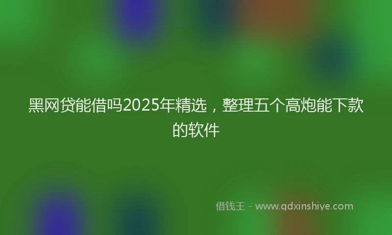 黑网贷能借吗2025年精选，整理五个高炮能下款的软件