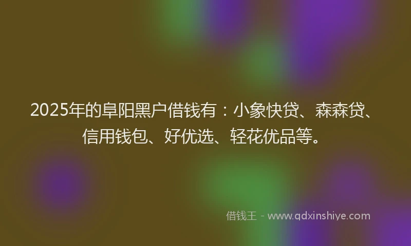 2025年的阜阳黑户借钱有：小象快贷、森森贷、信用钱包、好优选、轻花优品等。
