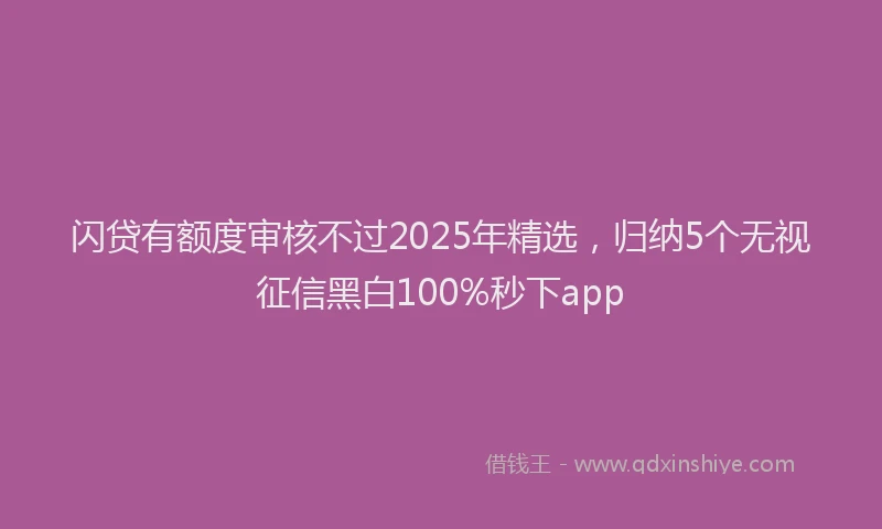 闪贷有额度审核不过2025年精选，归纳5个无视征信黑白100%秒下app