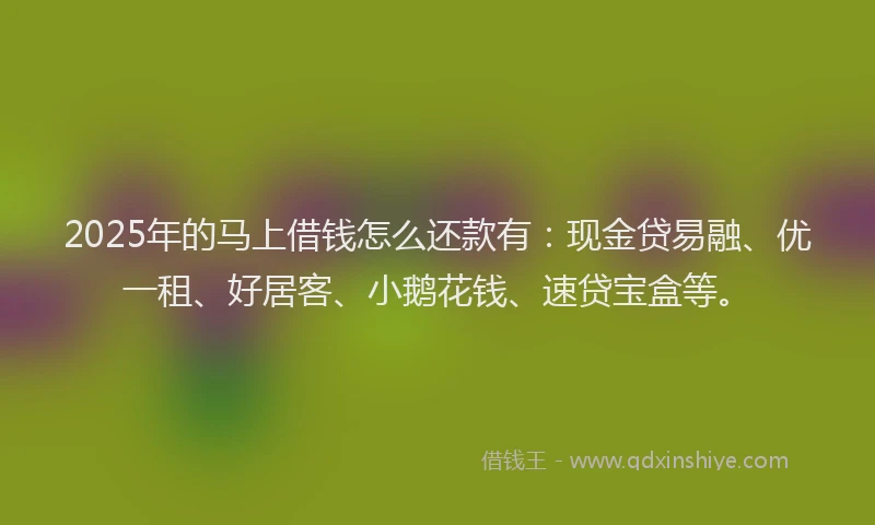 2025年的马上借钱怎么还款有：现金贷易融、优一租、好居客、小鹅花钱、速贷宝盒等。
