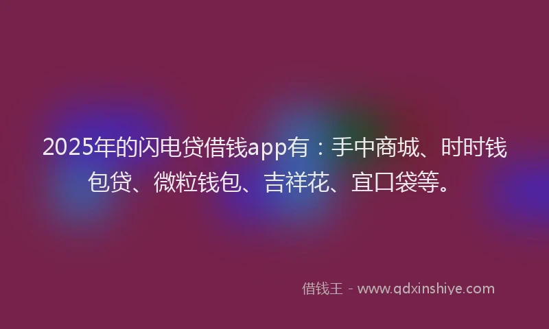 2025年的闪电贷借钱app有：手中商城、时时钱包贷、微粒钱包、吉祥花、宜口袋等。