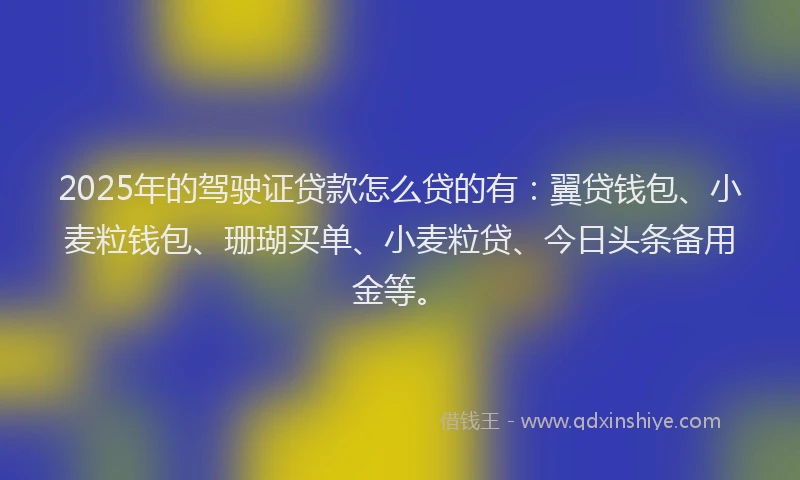 2025年的驾驶证贷款怎么贷的有：翼贷钱包、小麦粒钱包、珊瑚买单、小麦粒贷、今日头条备用金等。