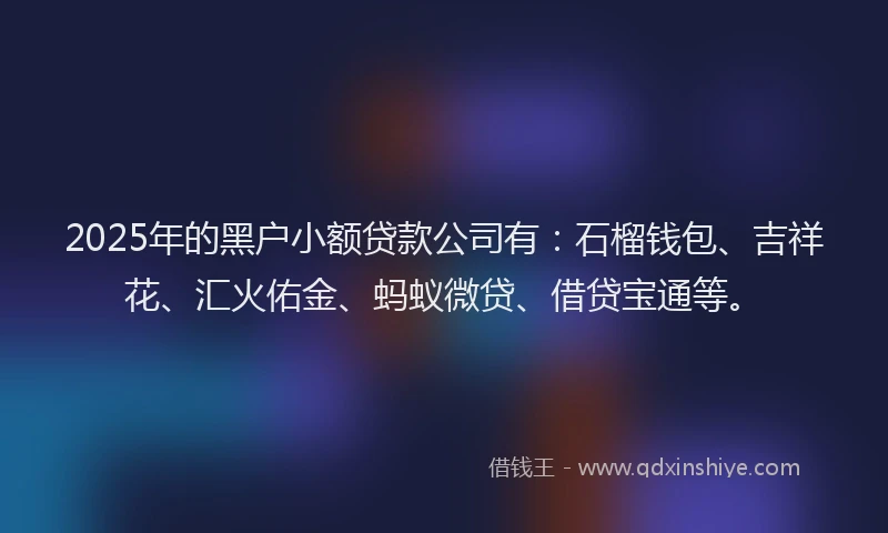 2025年的黑户小额贷款公司有：石榴钱包、吉祥花、汇火佑金、蚂蚁微贷、借贷宝通等。