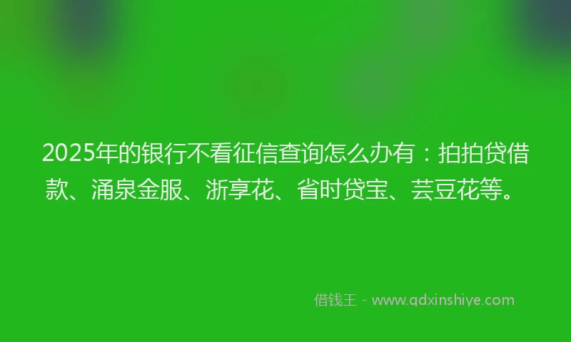 2025年的银行不看征信查询怎么办有：拍拍贷借款、涌泉金服、浙享花、省时贷宝、芸豆花等。
