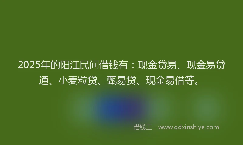 2025年的阳江民间借钱有：现金贷易、现金易贷通、小麦粒贷、甄易贷、现金易借等。