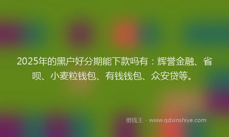 2025年的黑户好分期能下款吗有：辉誉金融、省呗、小麦粒钱包、有钱钱包、众安贷等。