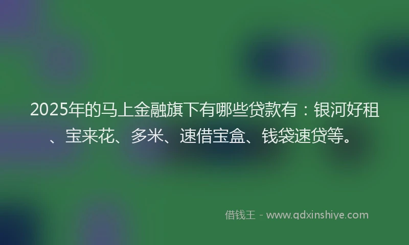2025年的马上金融旗下有哪些贷款有：银河好租、宝来花、多米、速借宝盒、钱袋速贷等。