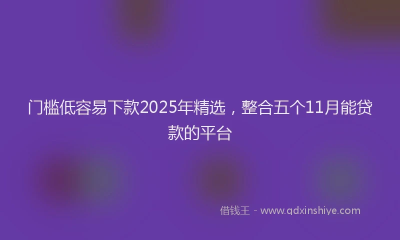 门槛低容易下款2025年精选，整合五个11月能贷款的平台