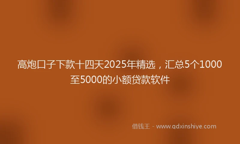 高炮口子下款十四天2025年精选，汇总5个1000至5000的小额贷款软件