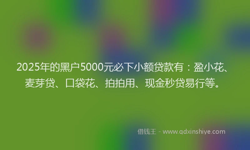 2025年的黑户5000元必下小额贷款有：盈小花、麦芽贷、口袋花、拍拍用、现金秒贷易行等。