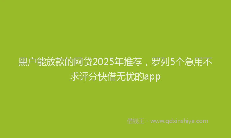 黑户能放款的网贷2025年推荐，罗列5个急用不求评分快借无忧的app