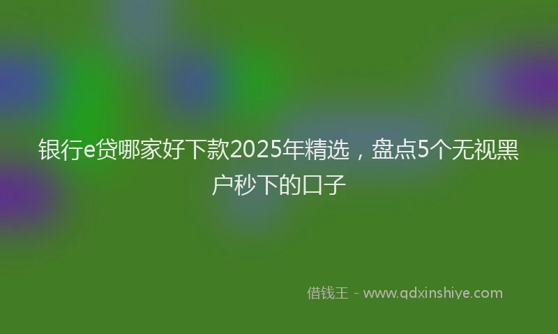银行e贷哪家好下款2025年精选，盘点5个无视黑户秒下的口子
