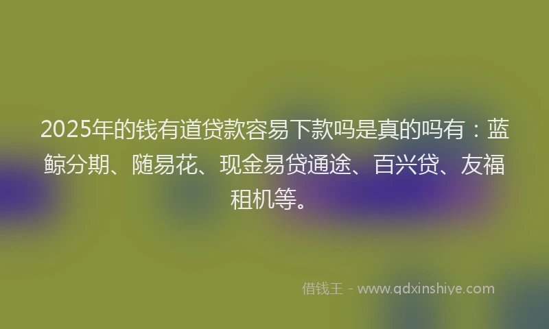 2025年的钱有道贷款容易下款吗是真的吗有：蓝鲸分期、随易花、现金易贷通途、百兴贷、友福租机等。