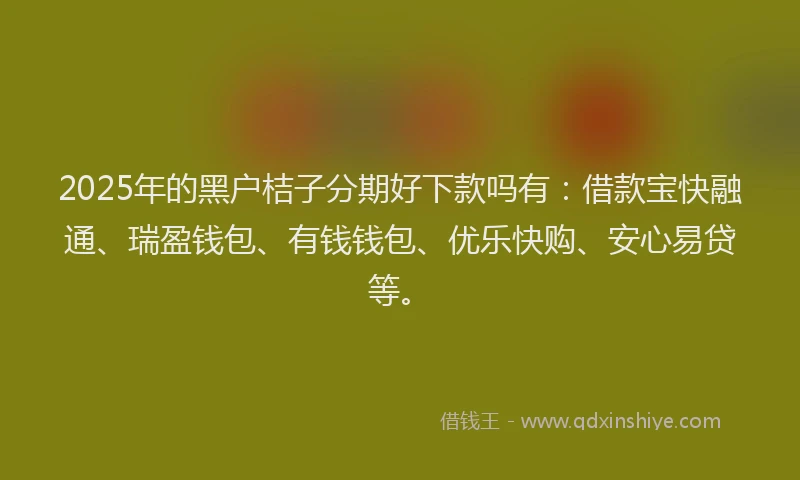 2025年的黑户桔子分期好下款吗有：借款宝快融通、瑞盈钱包、有钱钱包、优乐快购、安心易贷等。