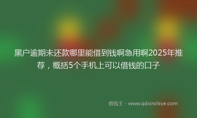 黑户逾期未还款哪里能借到钱啊急用啊2025年推荐，概括5个手机上可以借钱的口子