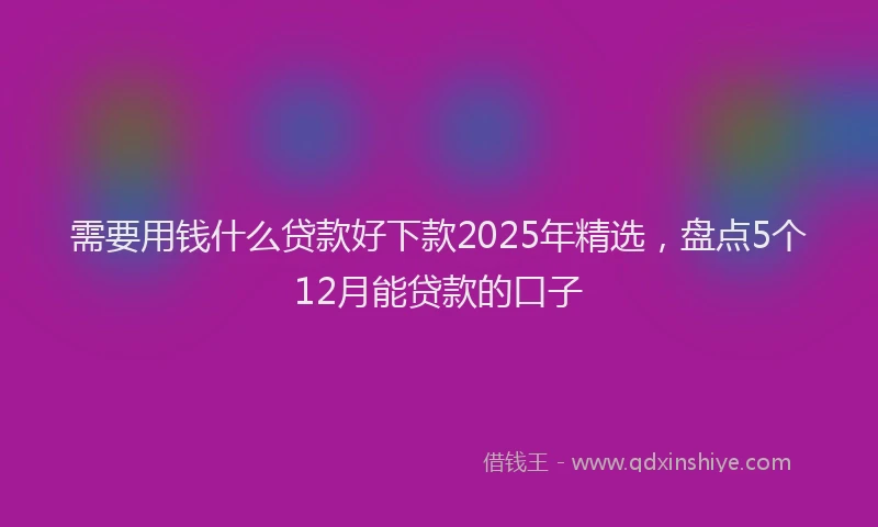 需要用钱什么贷款好下款2025年精选，盘点5个12月能贷款的口子