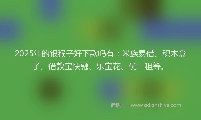 2025年的银猴子好下款吗有：米族易借、积木盒子、借款宝快融、乐宝花、优一租等。
