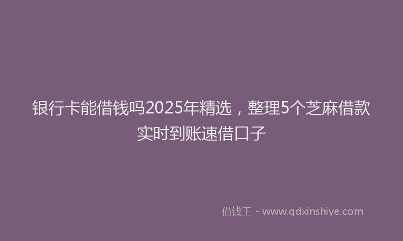 银行卡能借钱吗2025年精选，整理5个芝麻借款实时到账速借口子
