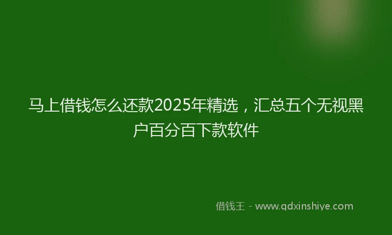 马上借钱怎么还款2025年精选，汇总五个无视黑户百分百下款软件