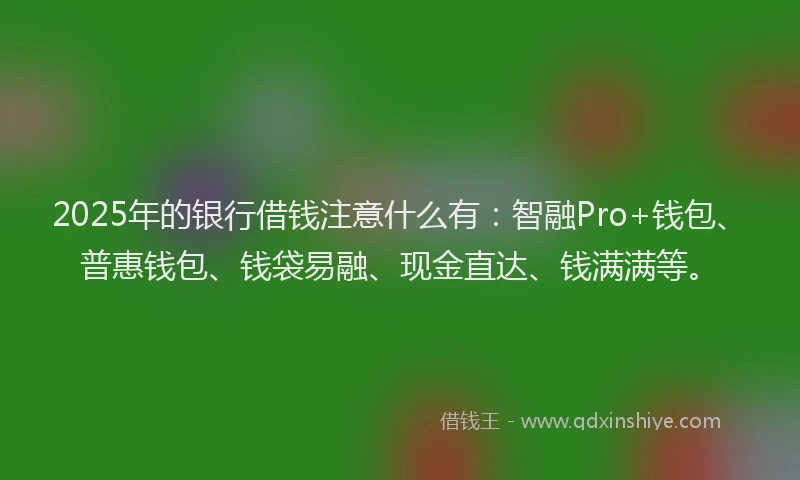2025年的银行借钱注意什么有：智融Pro+钱包、普惠钱包、钱袋易融、现金直达、钱满满等。