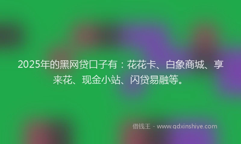 2025年的黑网贷口子有：花花卡、白象商城、享来花、现金小站、闪贷易融等。