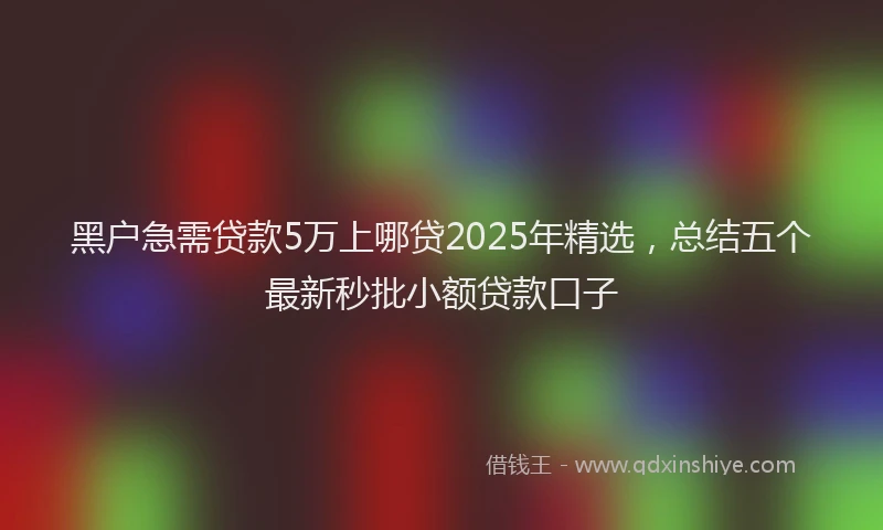黑户急需贷款5万上哪贷2025年精选，总结五个最新秒批小额贷款口子