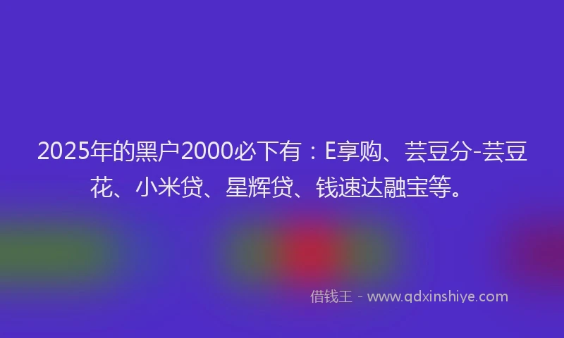 2025年的黑户2000必下有：E享购、芸豆分-芸豆花、小米贷、星辉贷、钱速达融宝等。
