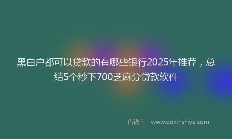 黑白户都可以贷款的有哪些银行2025年推荐，总结5个秒下700芝麻分贷款软件